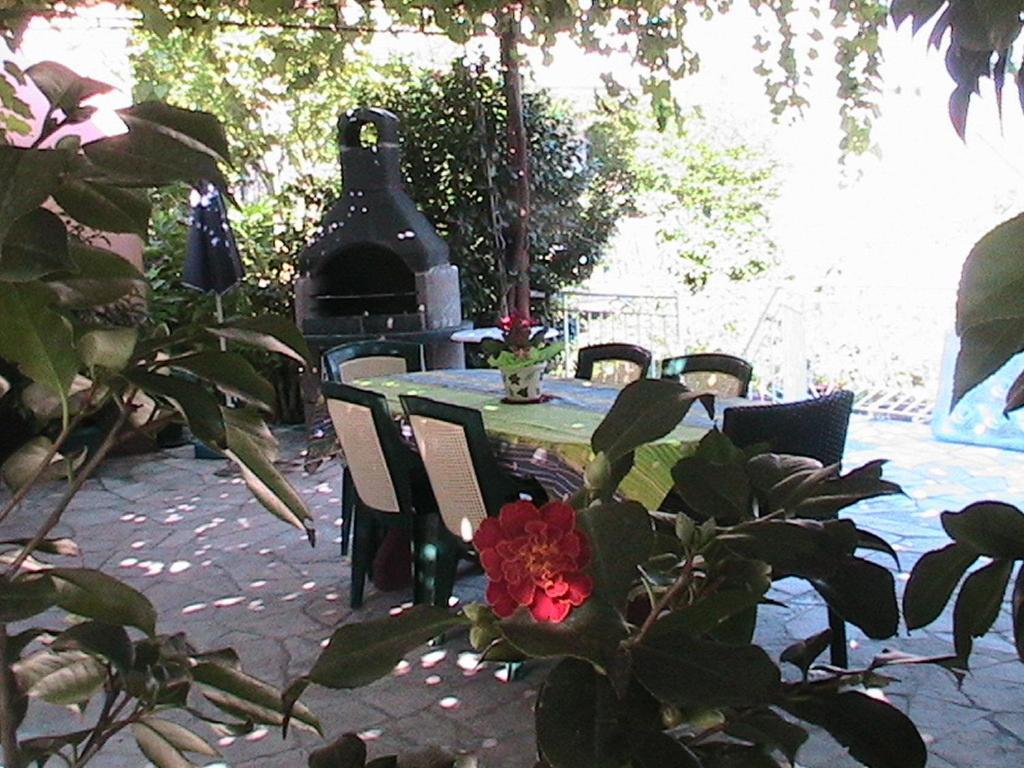 Apartments Penovic Kotor Kültér fotó