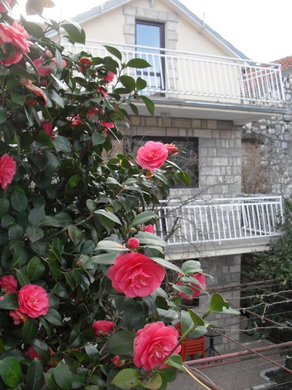 Apartments Penovic Kotor Kültér fotó